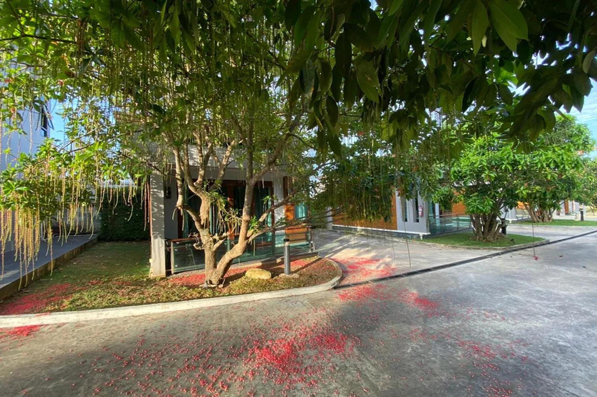 Nutchana Hill Boutique Hotel هات ياي المظهر الخارجي الصورة