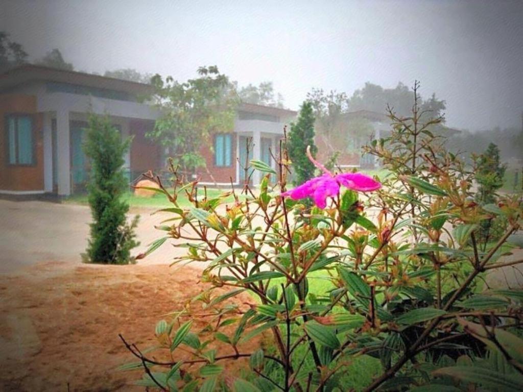 Nutchana Hill Boutique Hotel هات ياي المظهر الخارجي الصورة